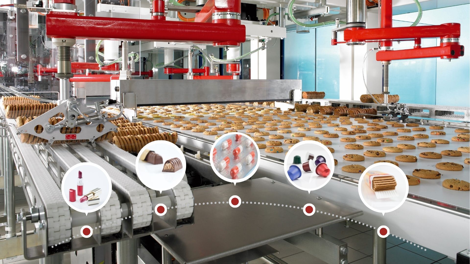 obrazek na stronę v2(1)