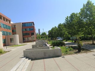 Plac z zielenią i betonowymi donicami przed budynkiem kampusu.