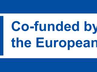 Dofinansowane przez Unię Europejską - flaga UE i oznaczenie dofinansowania.
